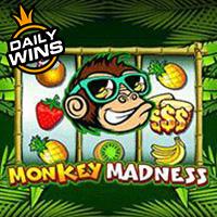 Monkey Madness 